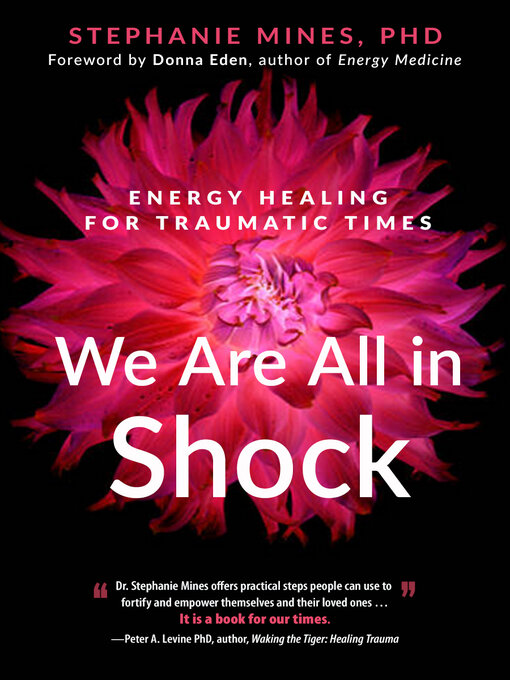 Title details for We Are All in Shock by Dr. Stephanie Mines - Available